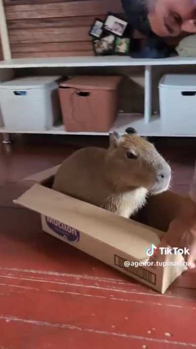 Fast af boi