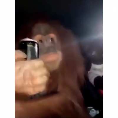 No te voy a mentir se le ve feliz a mi pana 😎🤙