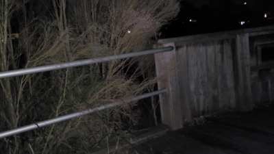 At a lookout on a cold night