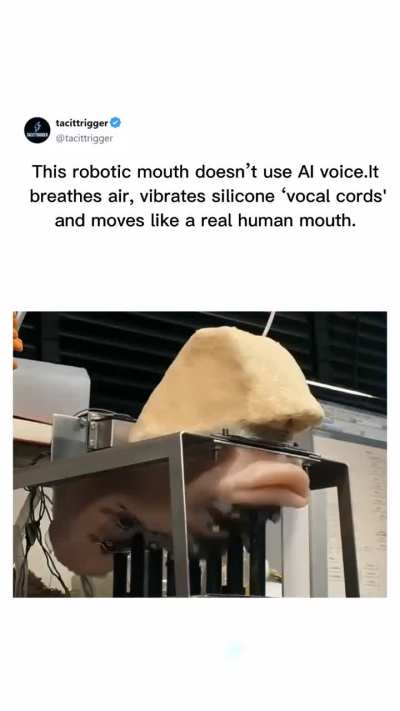 dunememes