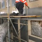 This guy is shit at the dissapering act