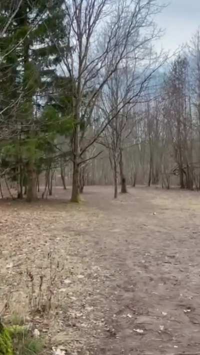 Looks so fun!