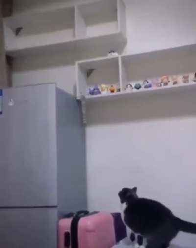 He tried