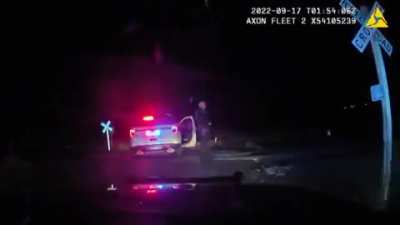 Platteville, Colorado — Stationary police cruiser struck by freight train.