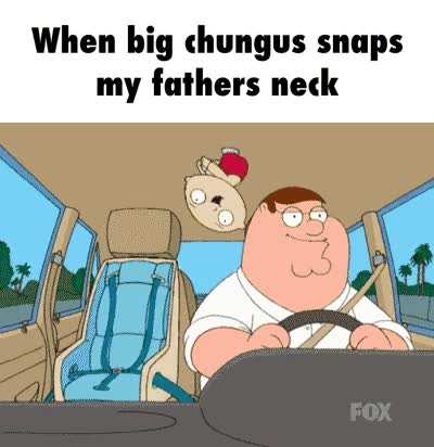 Chungagaga habibi