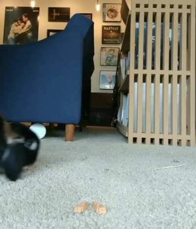 When you want a treat but you're also camera shy