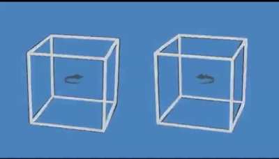 These cubes aren't moving