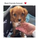 Shamelessly Stolen...Best friends