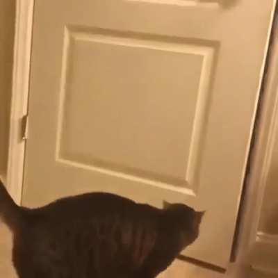 Get out of here!