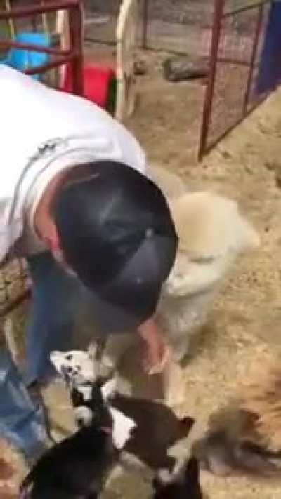 hugs