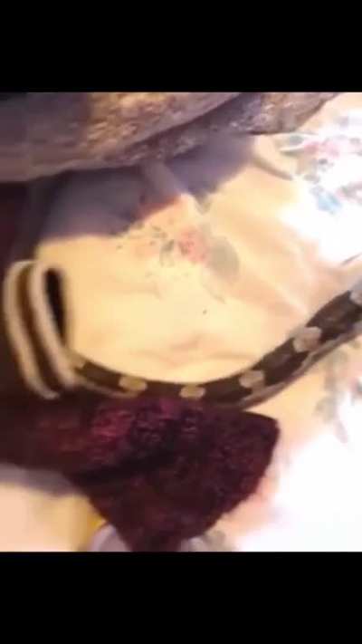 funniest compilation you'll see today