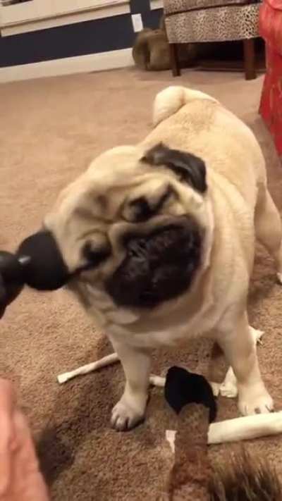 He’s enjoying it