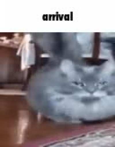 197