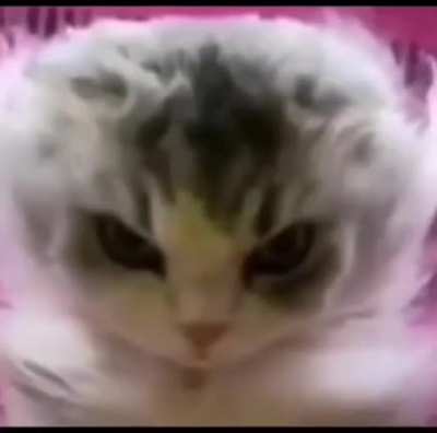 angery