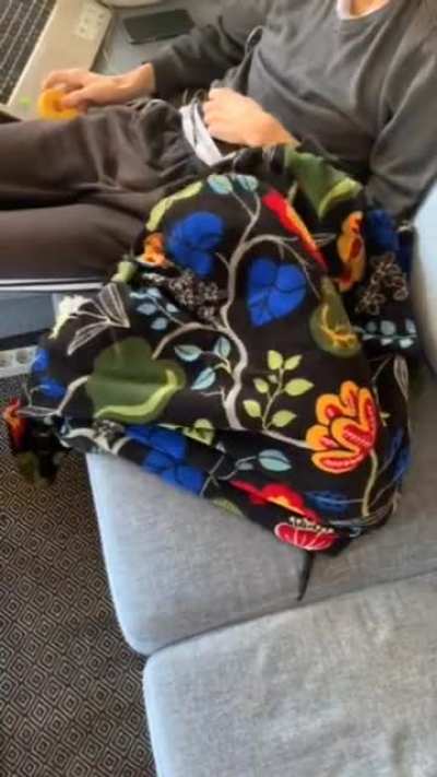 our dog loves to be under the blanket searching for his toy