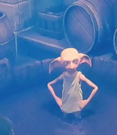 He encontrado un elfo andaluz en el Hogwarts Legacy