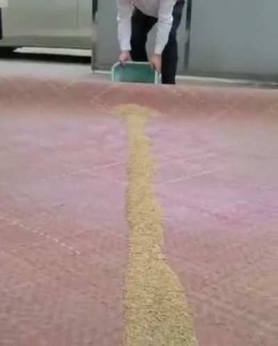 How does someone even think of this?