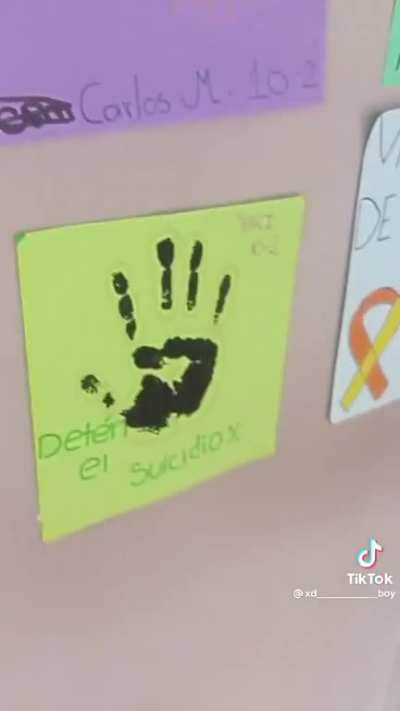 el mejo Bv