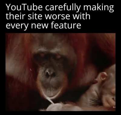 Where dislike