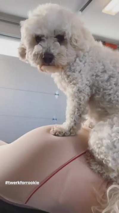 #twerkforrookie