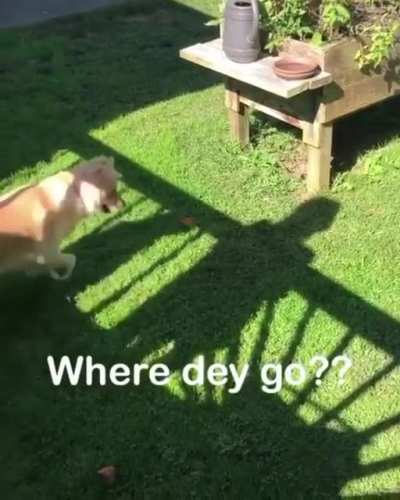 So little is needed for fun😄