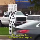 Eat mor chicken
