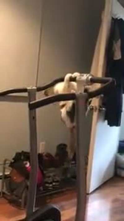 My 11yo...monkey?