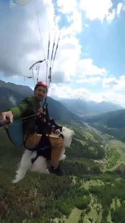 Heavenly Dog