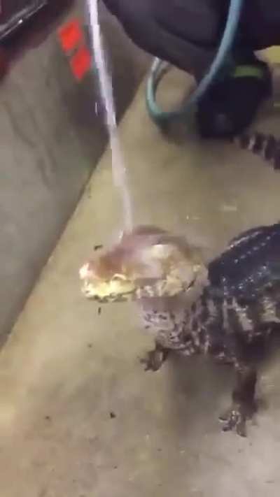 Wunky shower