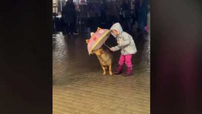 Little girl protects dog from the rain with an umbrella