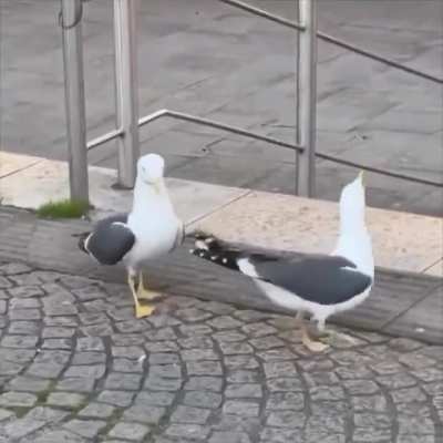 😅😅😅😅