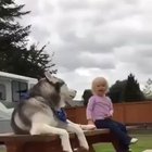 Who won?