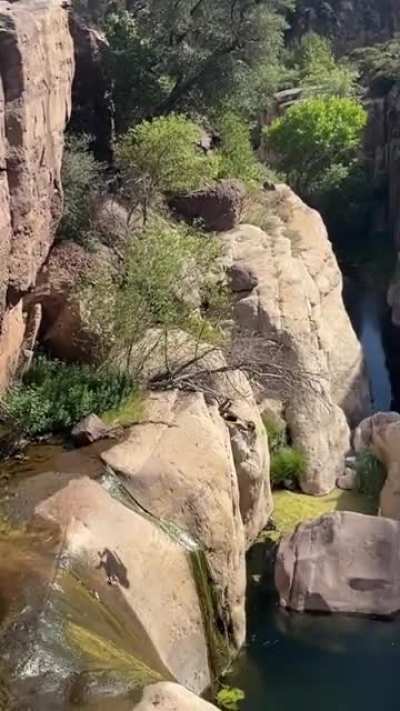 Jumping off this cliff