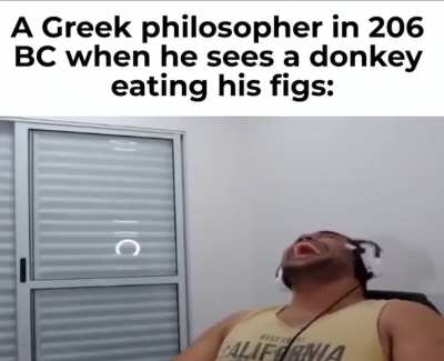 Chrysippus