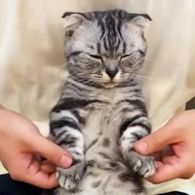 Rave cat poppin