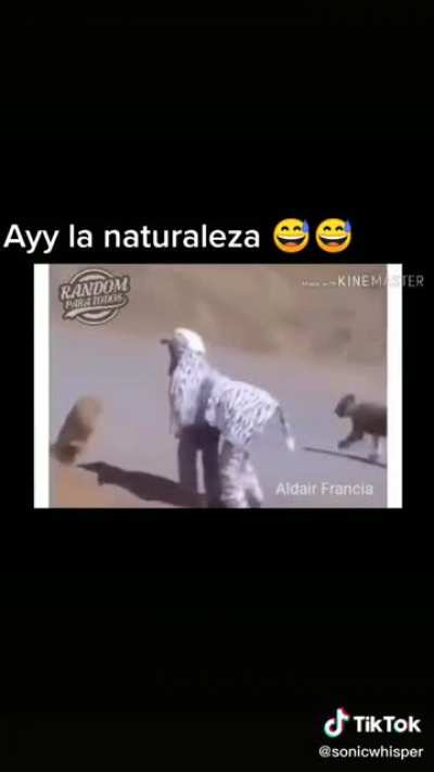 Documentales