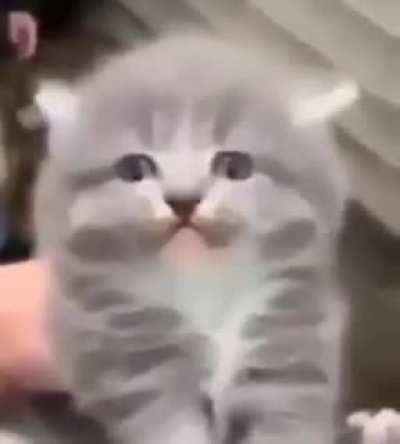 When I barely touch my younger brother
