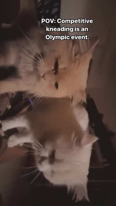 My kneady bois 🥹