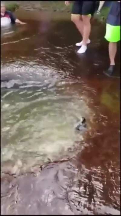 I pray he's alive