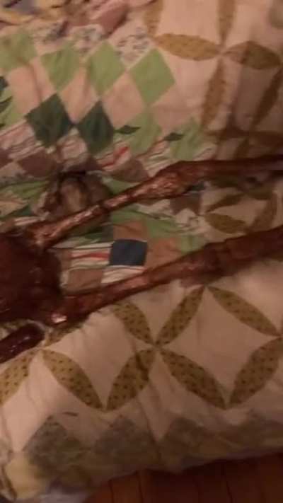 cursed_ L̷o̷o̷k̸ ̶a̵t̸ ̸h̷o̷w̴ ̴c̵u̶t̵e̸ ̴h̵e̶ ̷l̸o̴<wbr>o̷k̸s<wbr>̵ ̶w̷h̵<wbr>i̴l̸e<wbr>̴ ̶h̵e̷<wbr>’̴s̴ ̸s̴l̴<wbr>e̸e̴p<wbr>̷i̶n̷<wbr>g̷