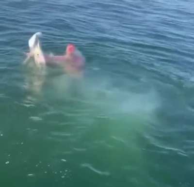 How he managed to save the fish