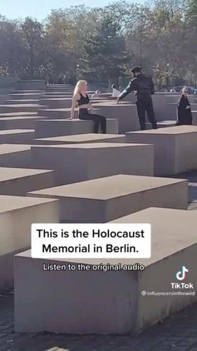 Caption probably “can’t describe how this made me feel #holocaust”