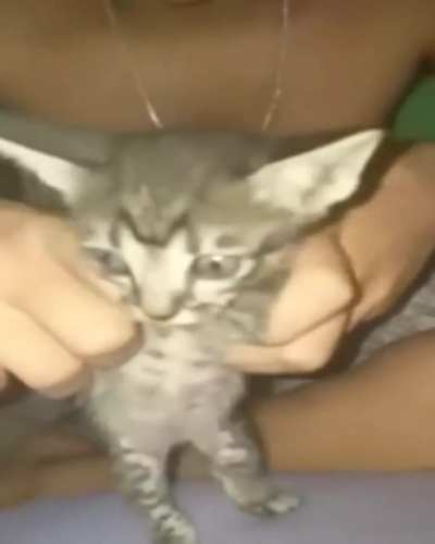 cuidado com os sedutores da internet!!!