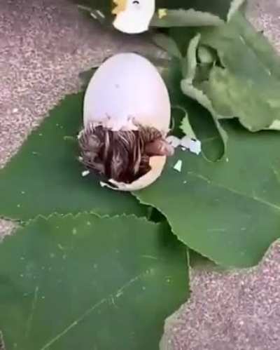 What a cute ddffuuckk?