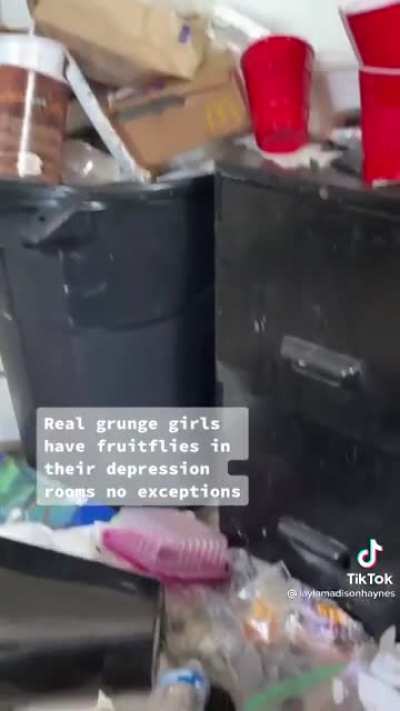 here's your daily dose of tiktok