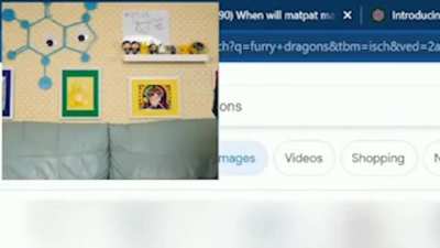 Furry_irl