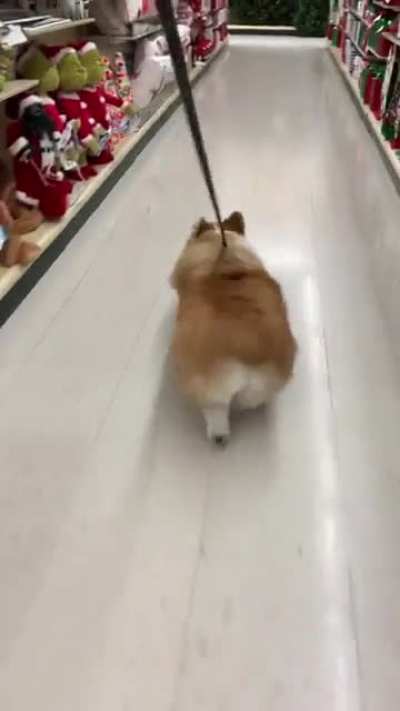 Holiday shopping!