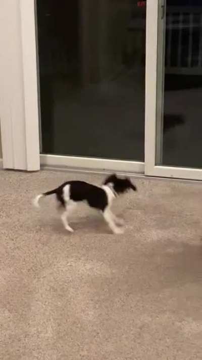 my friend sent this to me, does it count