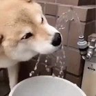 When I'm drinking and my crush looks over