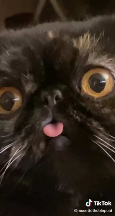 Nyonnyonnyonnyonnonnnono